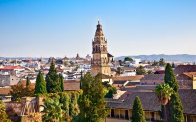 ✨ Erasmus+ Training in Córdoba: Discover Autumn & Spring Opportunities 4 VET and Educators